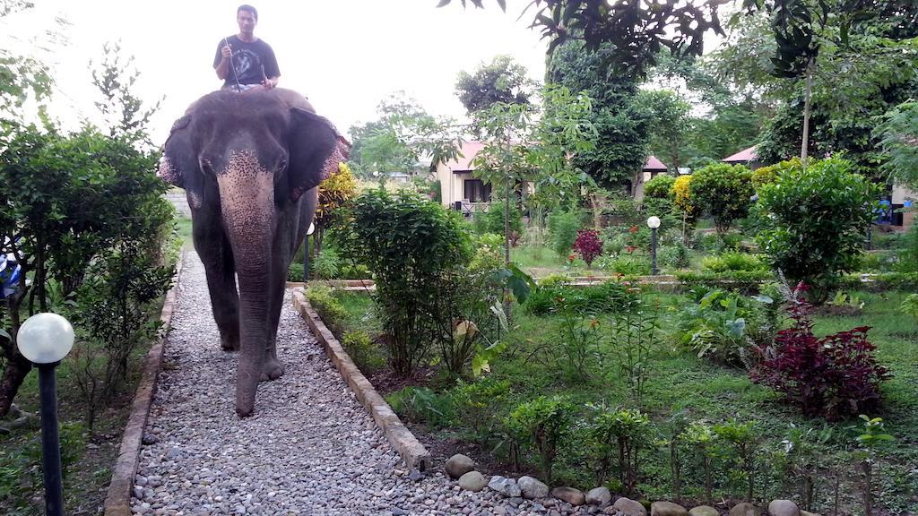 Chitwan Safari Camp & Lodge Sauraha Esterno foto