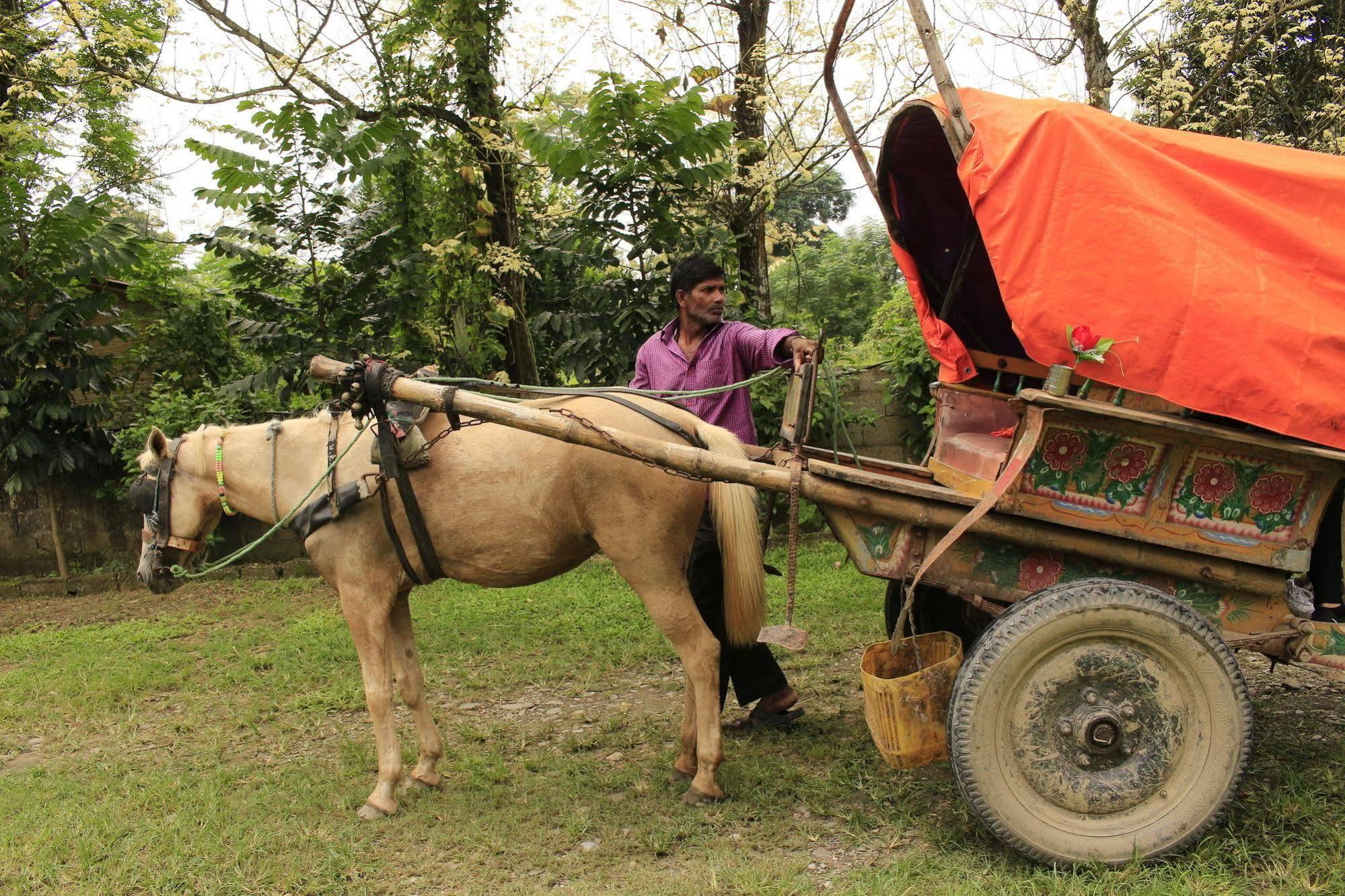 Chitwan Safari Camp & Lodge Sauraha Esterno foto